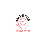 IMPETUS ACELERATOR Programme