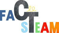 FACSTEAM