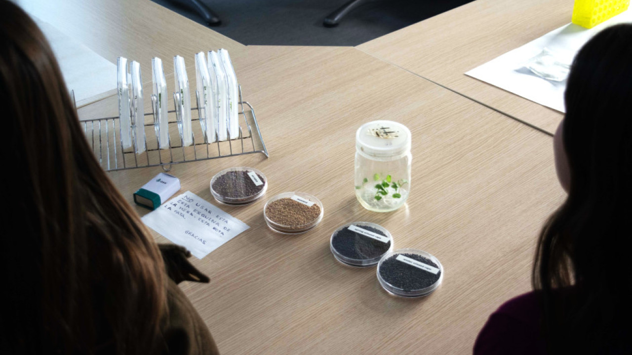 Actividades en la Universidad Politécnica de Madrid