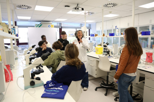 Laboratorio