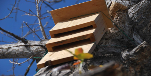 Casa nido para aves