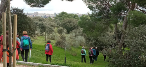 Bioinspiración y conexión con la naturaleza