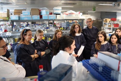 Actividad CNIC neurociencia