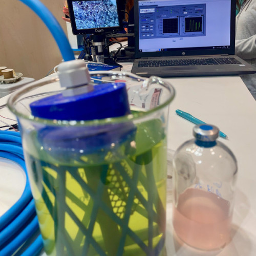 Biosensor