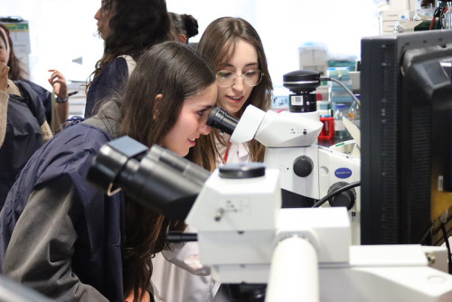 Actividad Semana de la Ciencia enfermedades raras