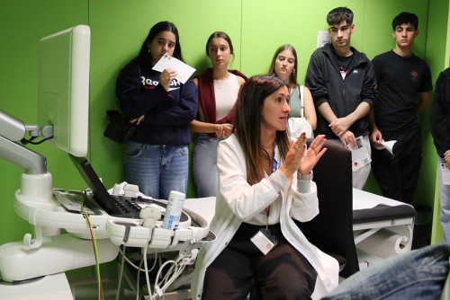 Actividad relación entre el cáncer y el corazón