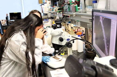 Semana de la Ciencia en CNIC
