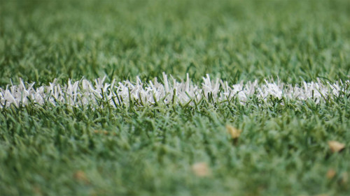 Campo de fútbol