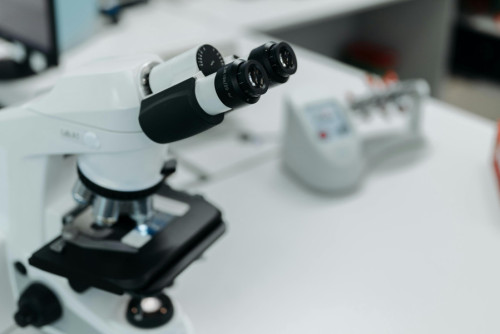 Microscopio