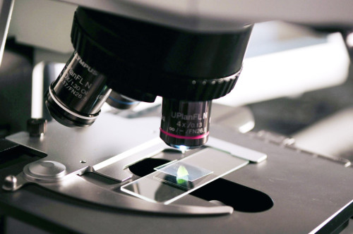 Microscopio