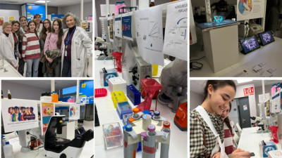 Del laboratorio al mundo: cómo los farmacéuticos descubren fármacos que salvan a millones de personas